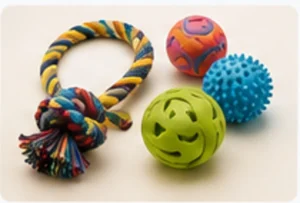 petfamly pet toys